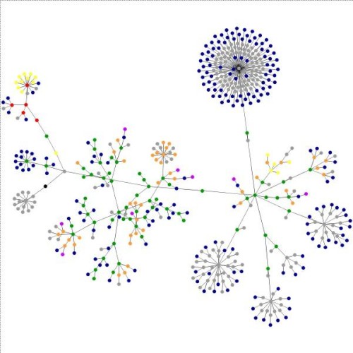 Graph zum Blog