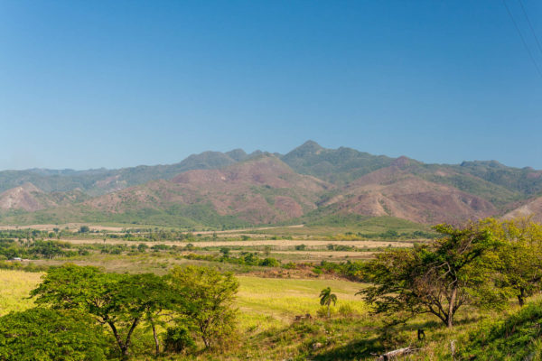 Valle de los Ingenios, Kuba, Zuckerrohr
