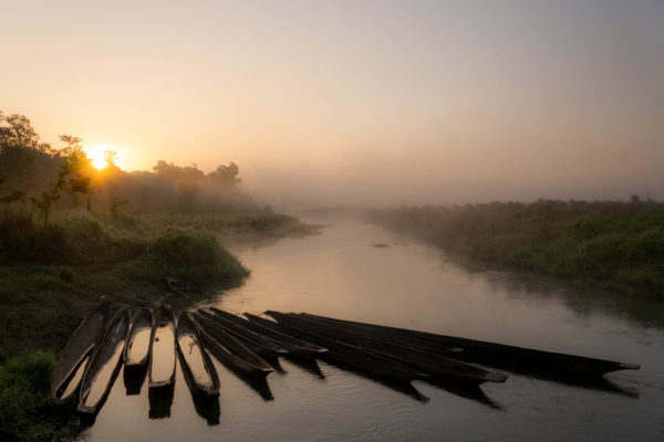 Chitwan Nationalpark, Morgen, Nebel, Sonnenaufgang