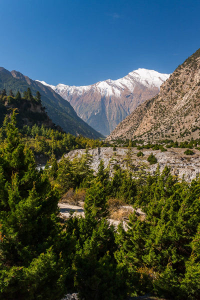 Nepal, Himalaya, Annapurna