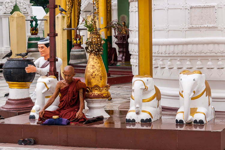 Shwedagon Pagode, Mönch, Myanmar, Yangon