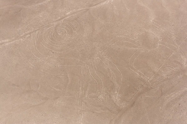 Nazca - Affe