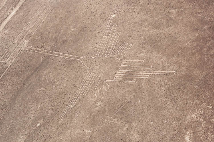 Nazca - Der Kolibri