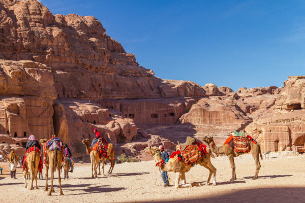 Kamele, Petra, Jordanien