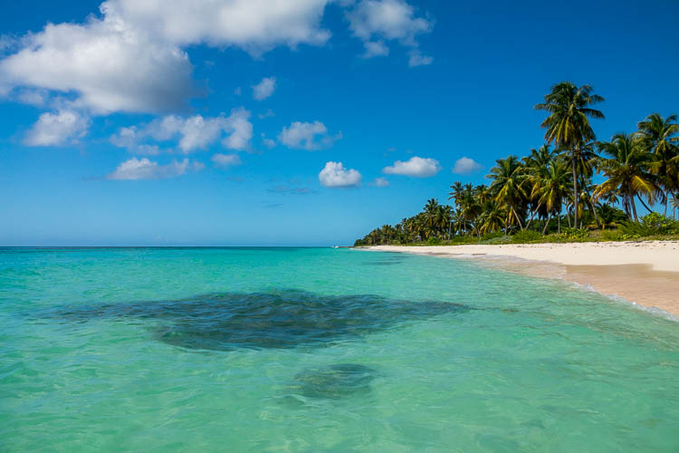 Dominikanische Republik, Saona, Palmen, Strand, Karibik