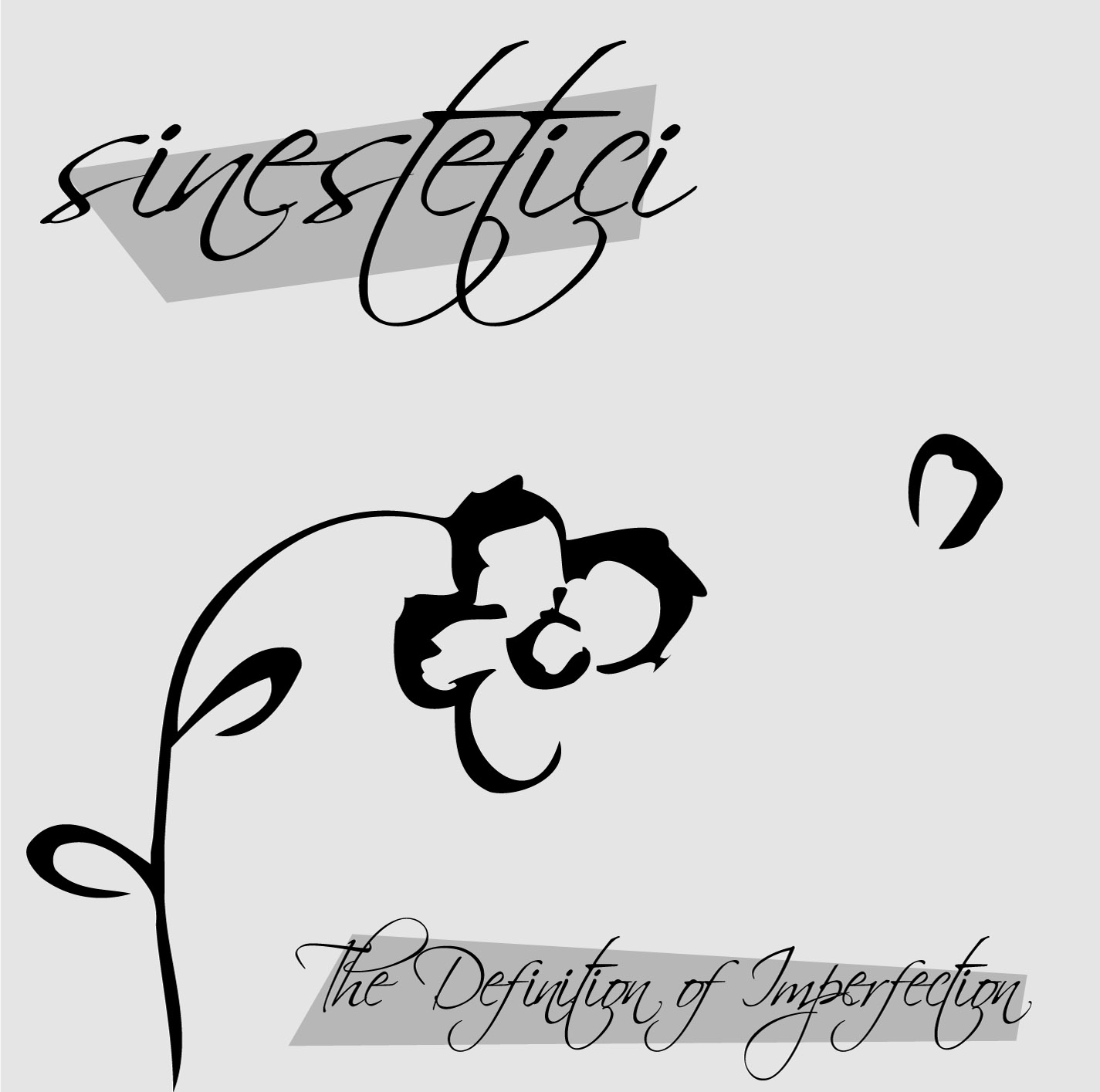 Sinestetici - The Definition of Imperfection