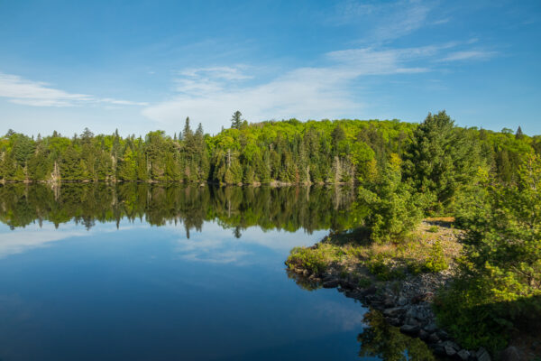 Kanadischer Wald spiegelt sich im ruhigen See am Morgen
