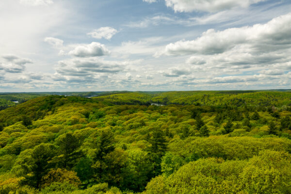 Endlose Wälder beim Blick vom Dorset Lookout Tower