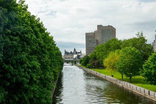 Bäume und Sträucher, aber auch Hochhäuser entlang des Rideau-Kanals