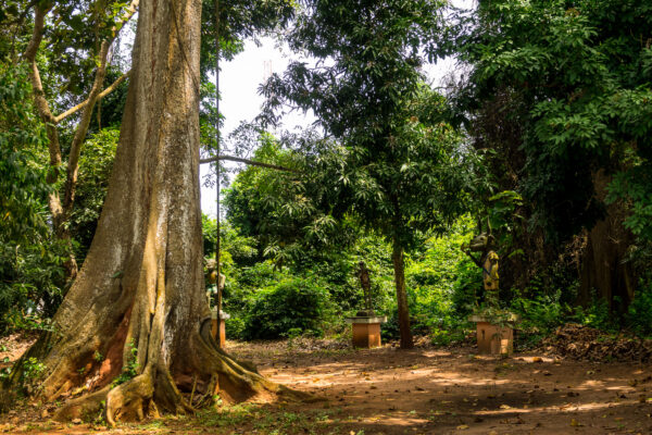 Zauberwald von Ouidah