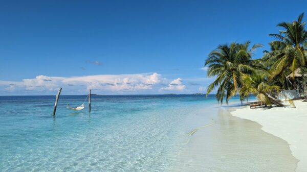 Türkisfarbenes Wasser mit einer Hängematte, weißem Strand und Palmen