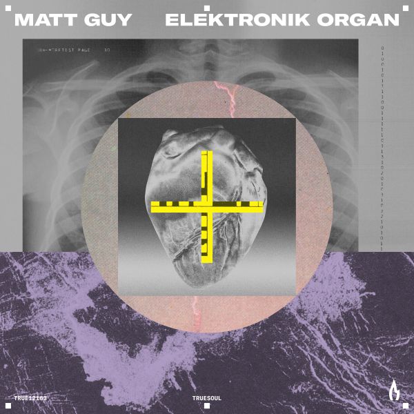 Matt Guy - Elektronik Organ