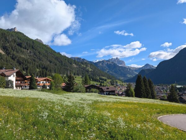 Blühende Bergwiesen, blauer Himmel mit Wolken