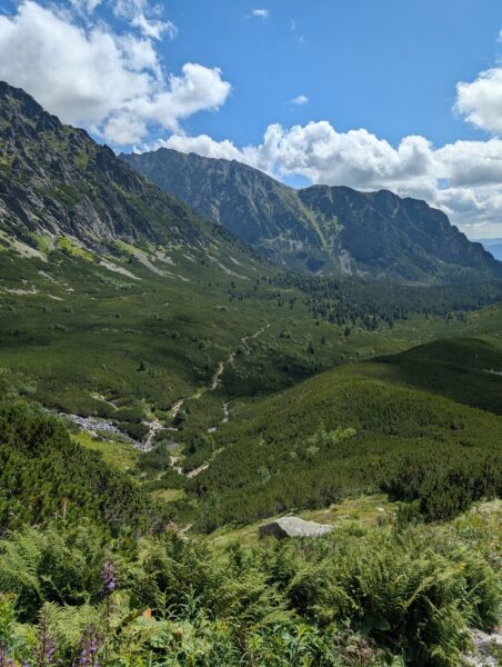 Blick zurück ins Tal, man erkennt einen schmalen Wanderweg der bis zum Horizont führt