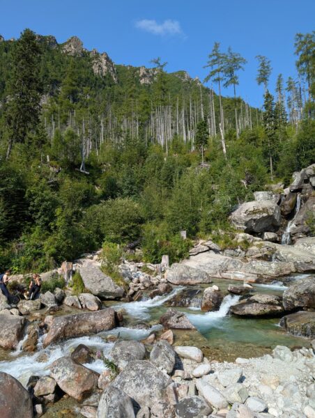 Ein Bach fließt sprudelnd zwischen riesigen Felsen entlang
