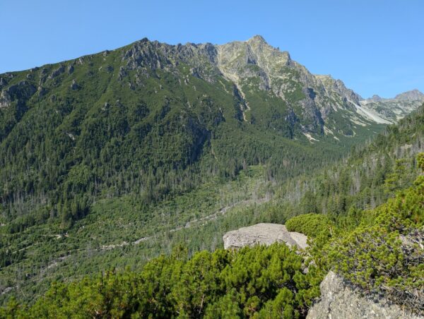 Bergkette, im Tal erahnt man noch die Spuren, die Orkan und Waldbrand hinterlassen haben
