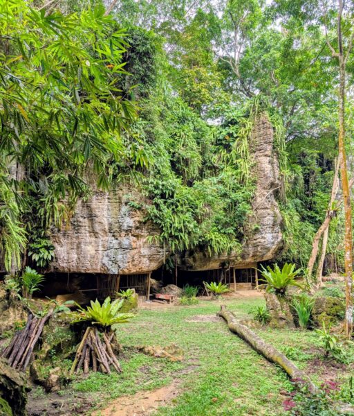 Höhlen in den Karstfelsen mit im Dschungel