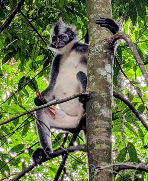 Ein Thomas Langure macht es sich neben uns gemütlich