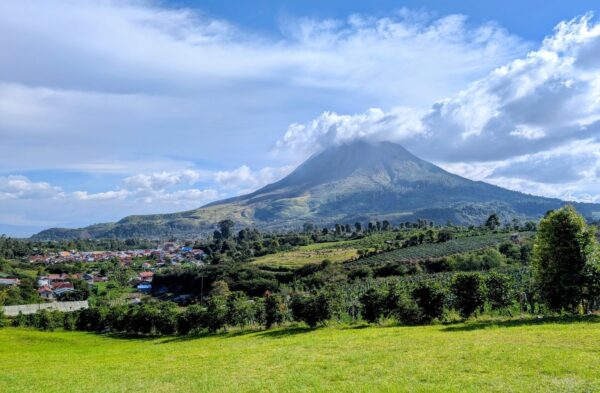 Kaffeeplantagen am Fuße des Vulkans Sinabung